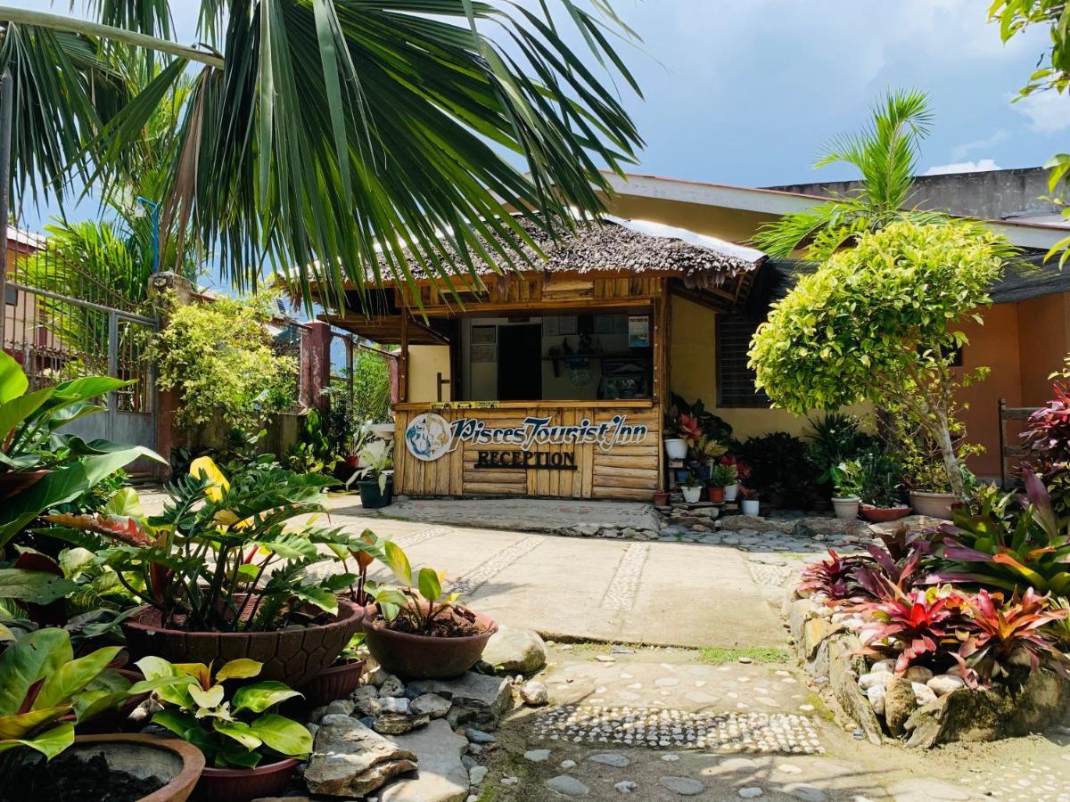 Pisces Tourist Inn - Port Barton ซาน วิเซนเต ภายนอก รูปภาพ