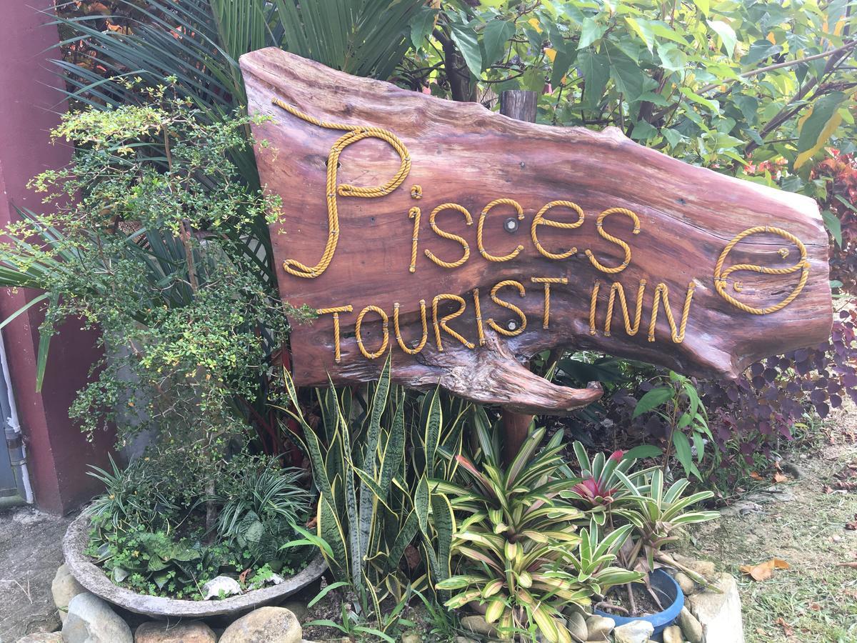 Pisces Tourist Inn - Port Barton ซาน วิเซนเต ภายนอก รูปภาพ